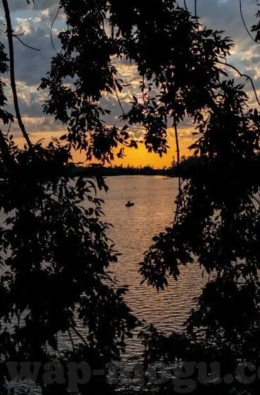 大象传媒被抓-大象传媒事件，行业监管与合规经营的警钟