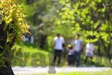 麻豆传媒女艺人名单-虚构框架下的探索，光影后的汇聚——麻豆传媒的女艺人世界