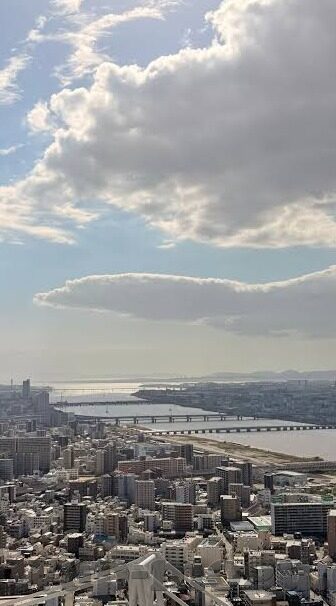 麻豆视频app污下载-浅谈网络应用的不同面向，麻豆视频App的公众认知与信息辨析