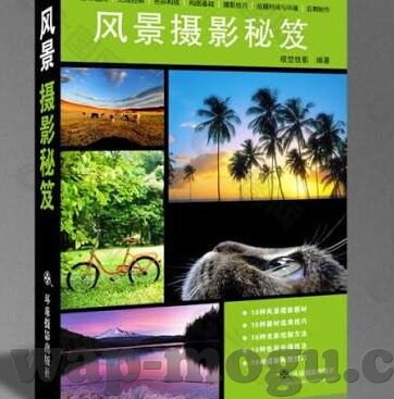 免费91麻豆视频-免费91麻豆视频，揭开其背后的真相与影响