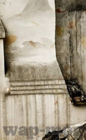 日韩av写真视频网站-日韩AV写真视频网站的多元视角与文化探索