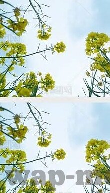 糖心app旧版-糖心旧版应用，昔日的数字乐园