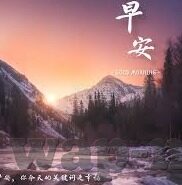 糖心app怎么用-糖心APP的灵活运用，解锁精彩生活的秘密工具