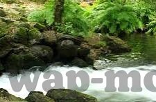 糖心直播app纯净版-在数字时代下探寻的纯净空间——揭秘糖心直播APP纯净版