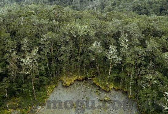 在线精品亚洲一区二区-探索在线娱乐的多元化，亚洲一区二区的精彩世界